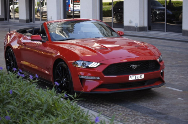 Red Ford Mustang, 2019 for rent in Dubai 2