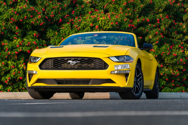 Yellow Ford Mustang, 2018 for rent in Dubai 3
