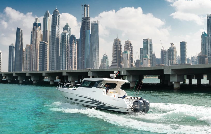 Silver Craft Storm 36 pied Bateau à moteur à Dubai Harbour à louer à Dubai