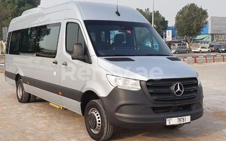 银 Mercedes Sprinter, 2020 preview