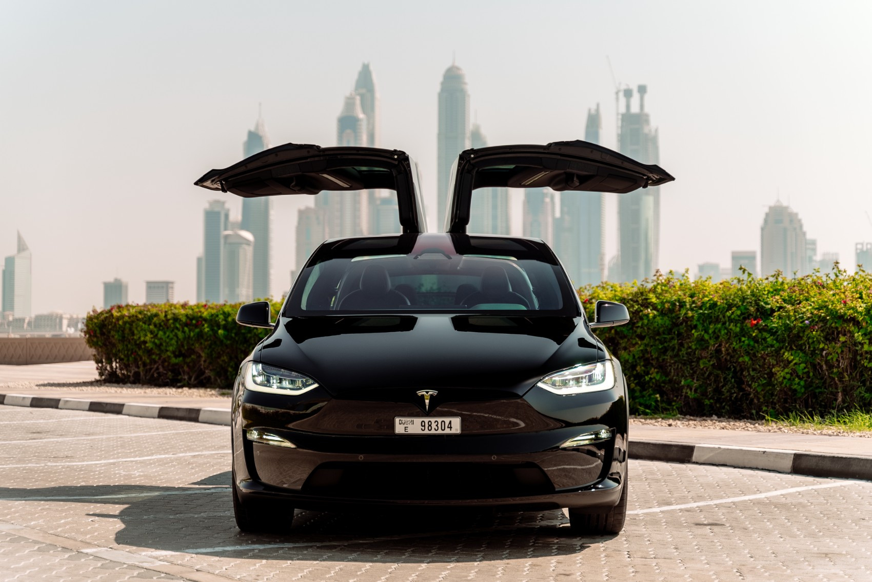 Tesla model x 2022