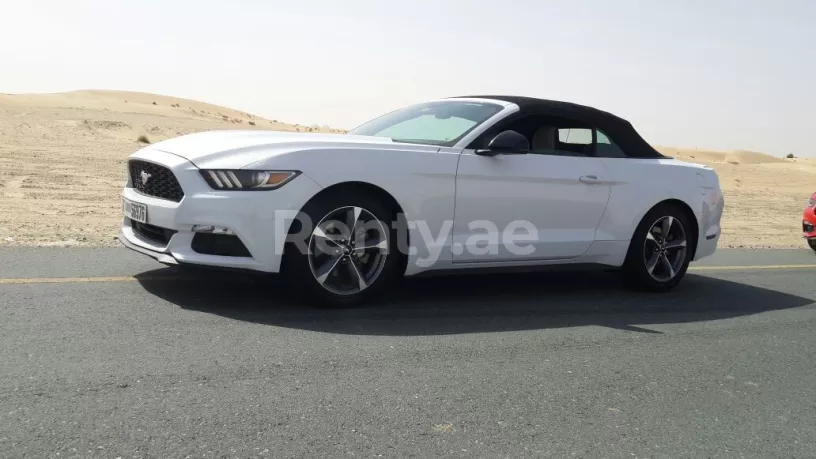 Ford Mustang Convertible (Белый), 2016 для аренды в Дубай