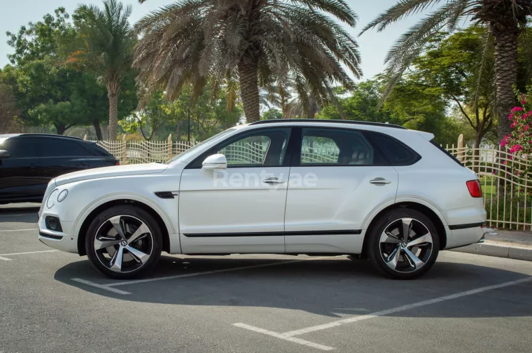 Bentley Bentayga (Blanco), 2019 para alquiler en Dub&aacute;i