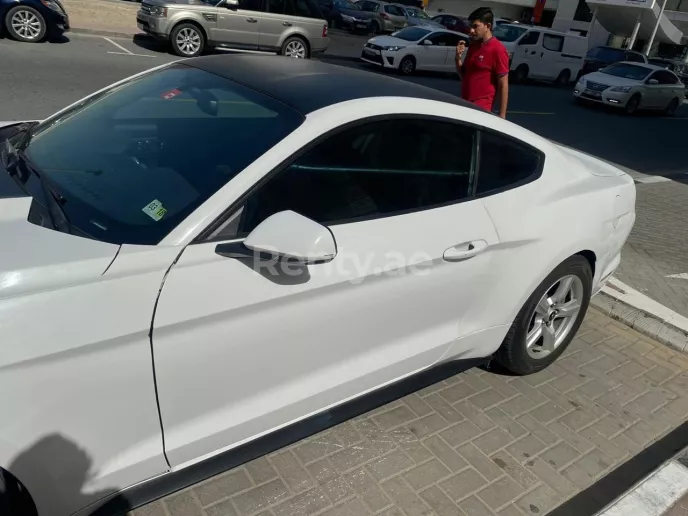 Ford Mustang Coupe (White), 2018 for rent in Dubai