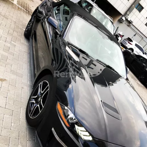 Ford Mustang Convertible (Black), 2019 for rent in Dubai