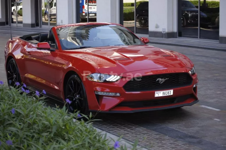 Ford Mustang (Red), 2019 for rent in Dubai