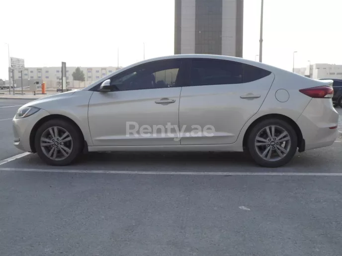 Abu Dabi'de kiralık Hyundai Elantra (G&uuml;m&uuml;ş), 2017