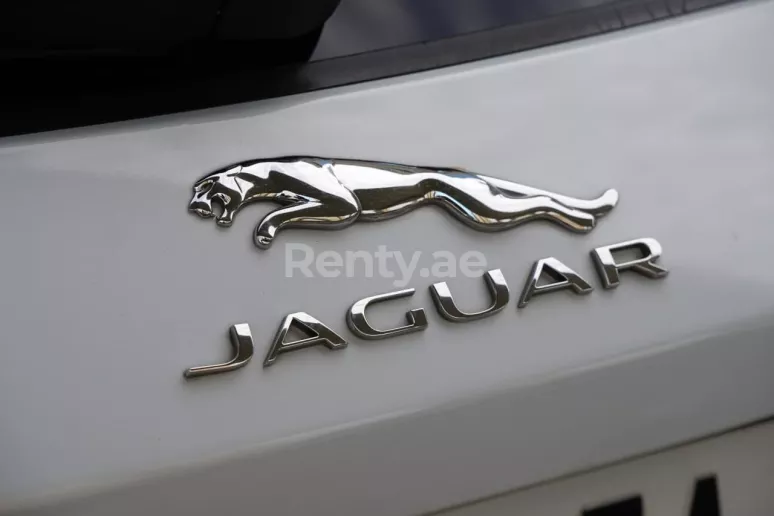 Jaguar F-Pace (Blanc), 2019 &agrave; louer &agrave; Sharjah