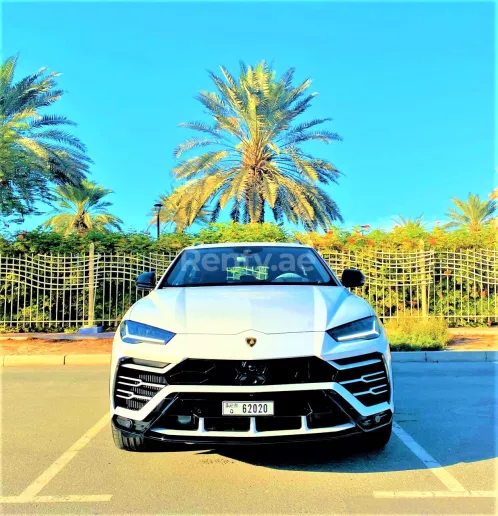 Lamborghini Urus (Wei&szlig;), 2021  zur Miete in Dubai