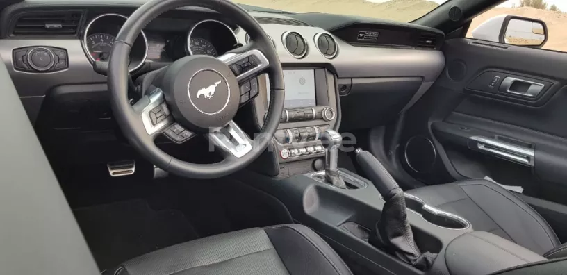 Ford Mustang GT (White), 2020 for rent in Dubai