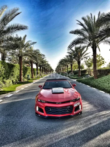 Chevrolet Camaro (rojo), 2018 para alquiler en Dub&aacute;i