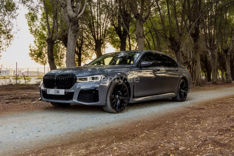 BMW 7 Series (Grise), 2020 &agrave; louer &agrave; Duba&iuml;