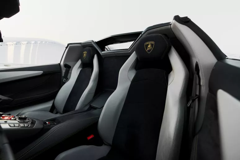Lamborghini Aventador Roadster (Noir), 2018 &agrave; louer &agrave; Duba&iuml;