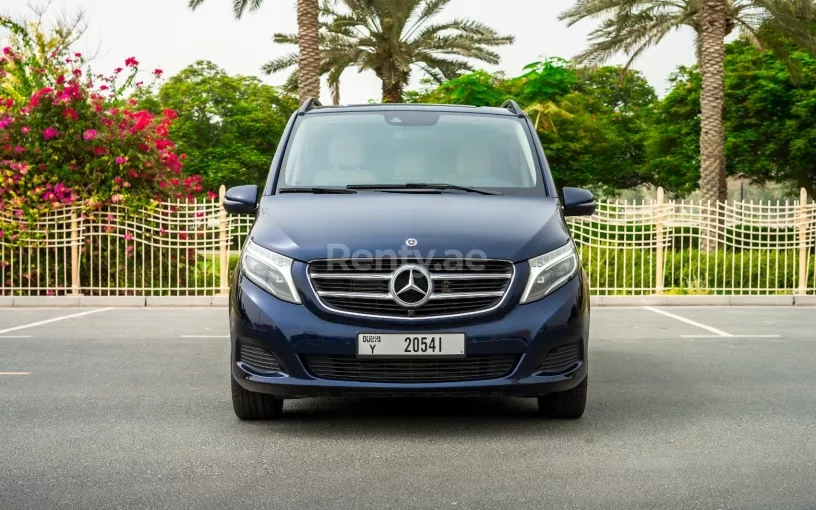 在阿布扎比 租 梅赛德斯 V250 (蓝色), 2019