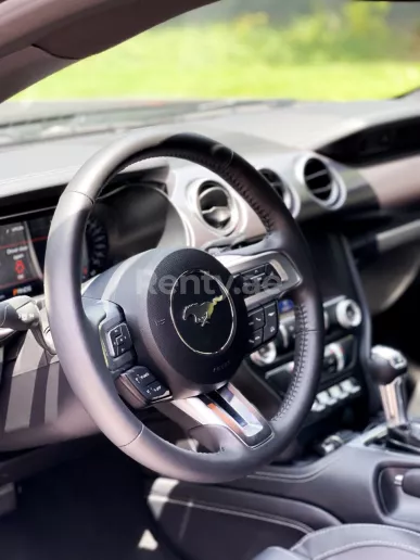 在迪拜 租 福特野马 Mach 1 V8 (灰色), 2022