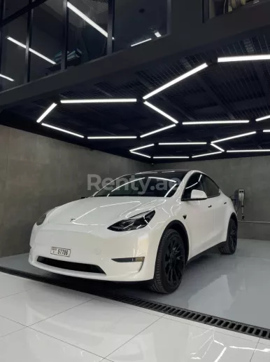 在迪拜 租 特斯拉 Model Y 长续航里程 (白色), 2023