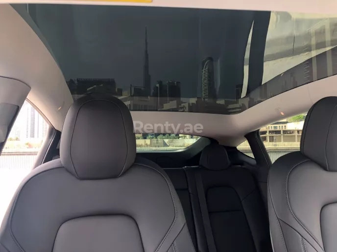 在迪拜 租 特斯拉 Model Y 长续航里程 (白色), 2022