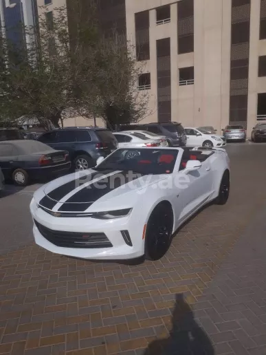 Chevrolet Camaro (Белый), 2019 для аренды в Дубай