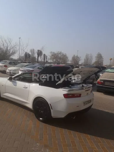 Chevrolet Camaro (Белый), 2019 для аренды в Дубай