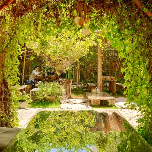 SEVA Wellness Center & Cafe
