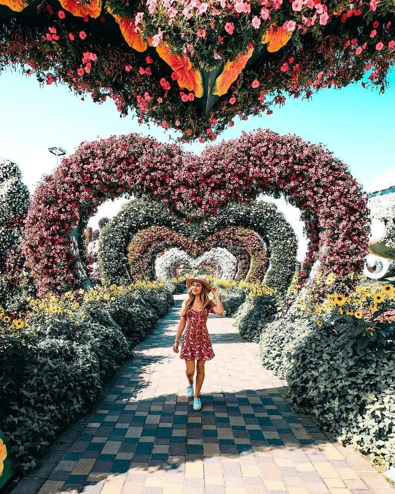 Dubai Miracle Garden – the best Instagram spots in Dubai