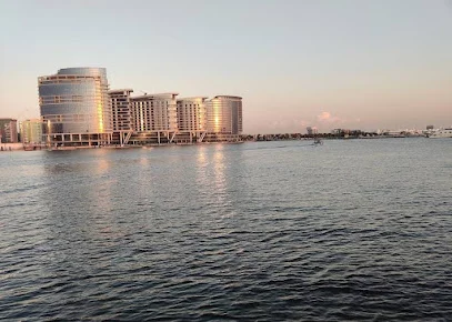 Al Maktoum Bridge Fishing Spot