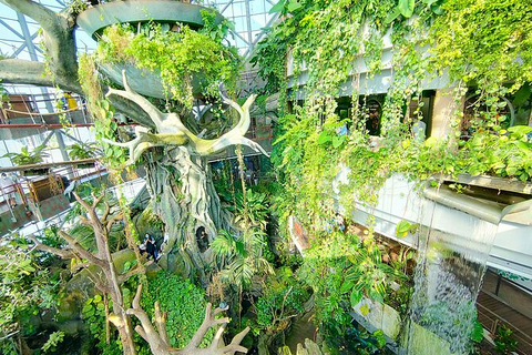 Green Planet Dubai