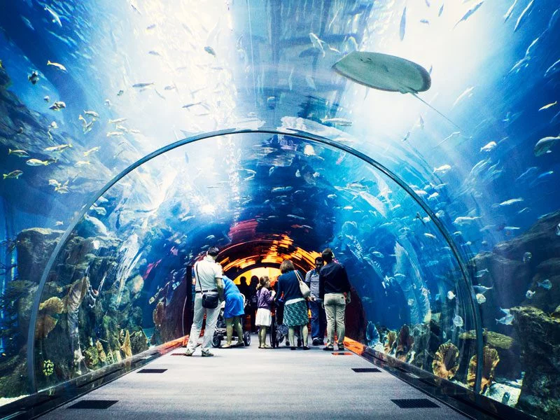 The Lost Chambers Aquarium Dubai