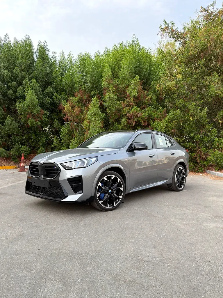 BMW X2 (Grigio)
