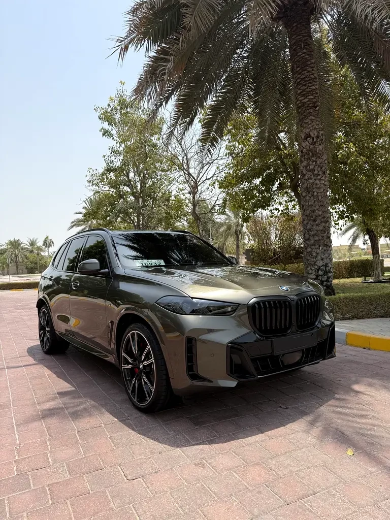 BMW X5 (Green)