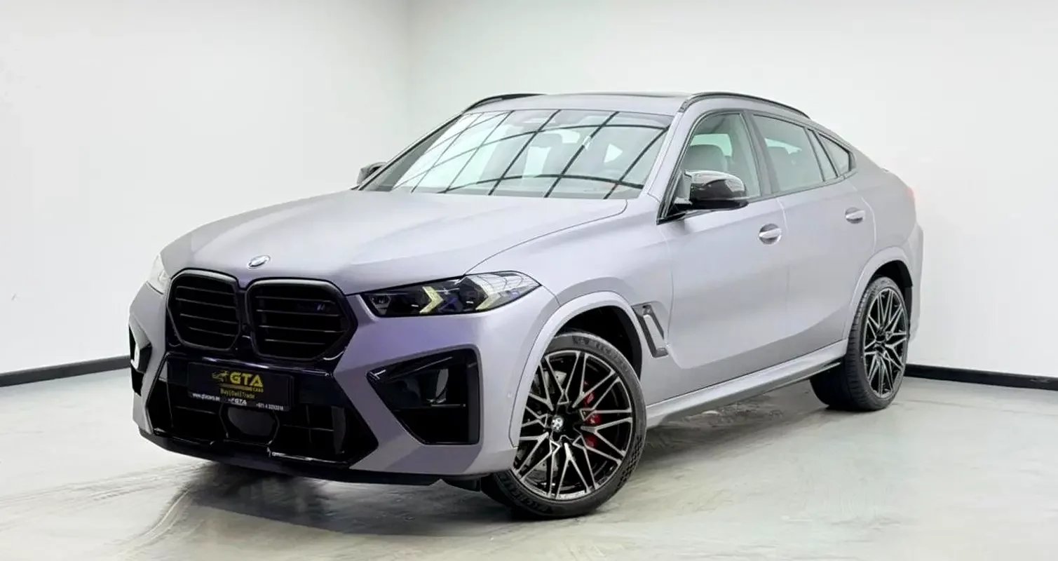 BMW X6 (Gri)