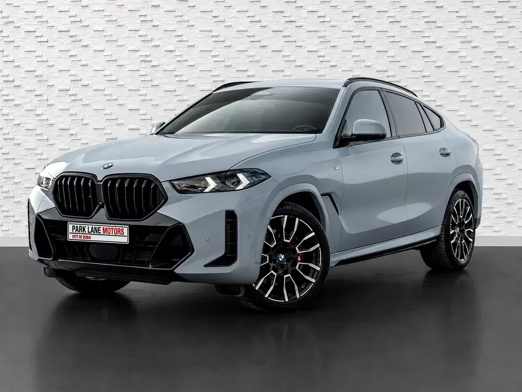 BMW X6 (Grey)