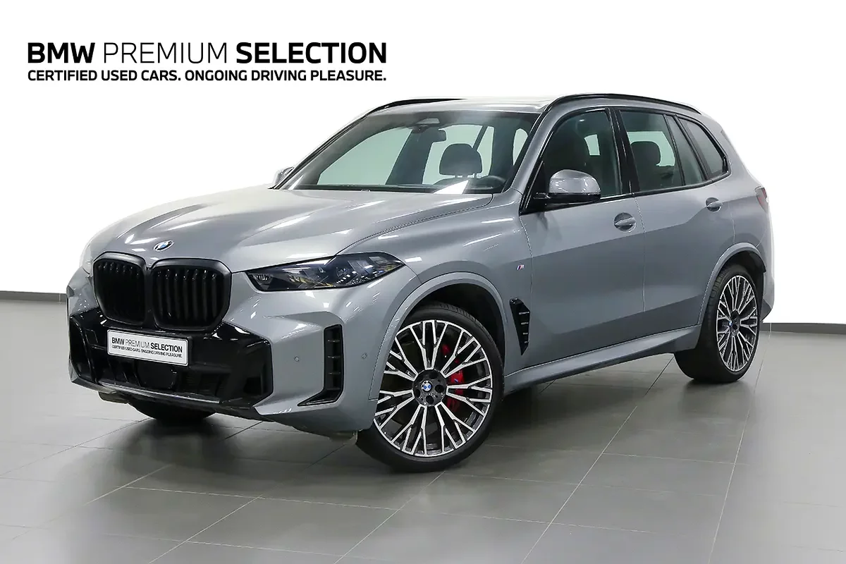 BMW X5 (Grise)