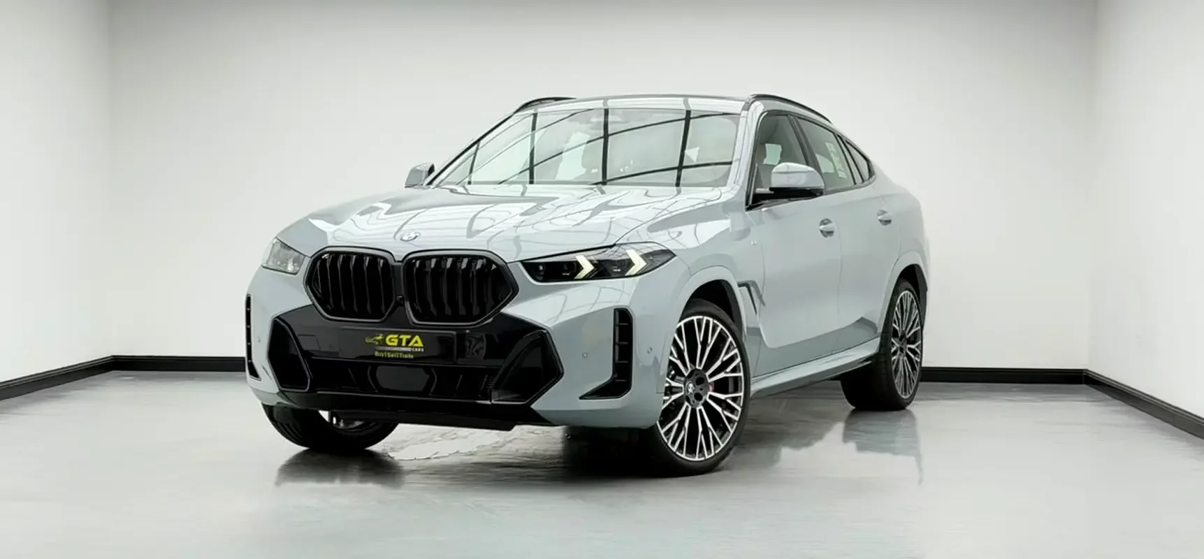 BMW X6 (Grey)