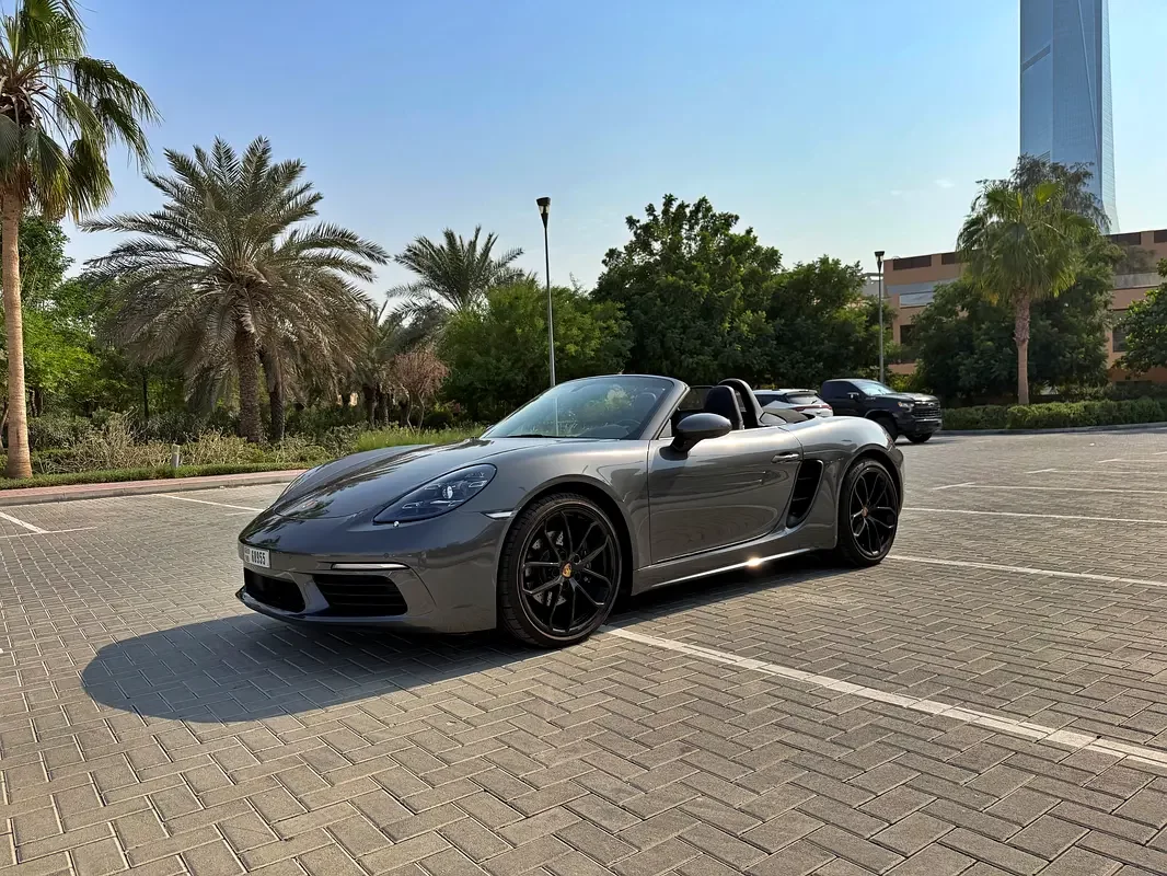 Porsche Boxster (Gris)