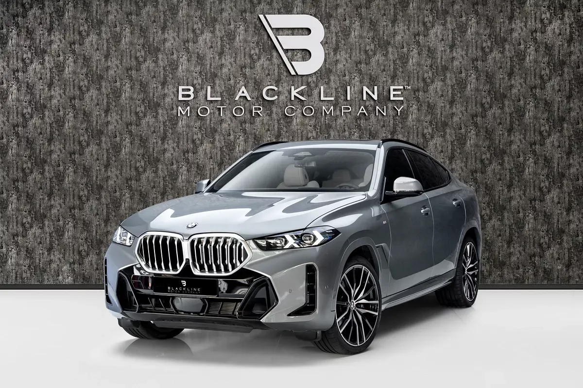 BMW X6 (Gri)