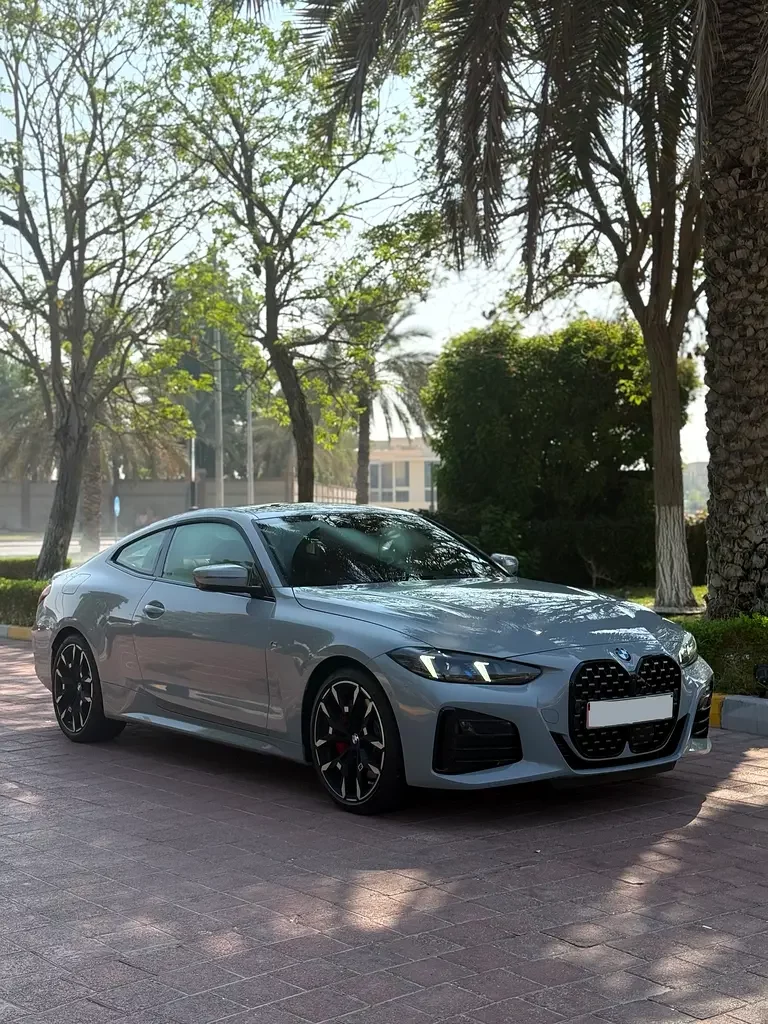 BMW 4 Serisi (Gri)