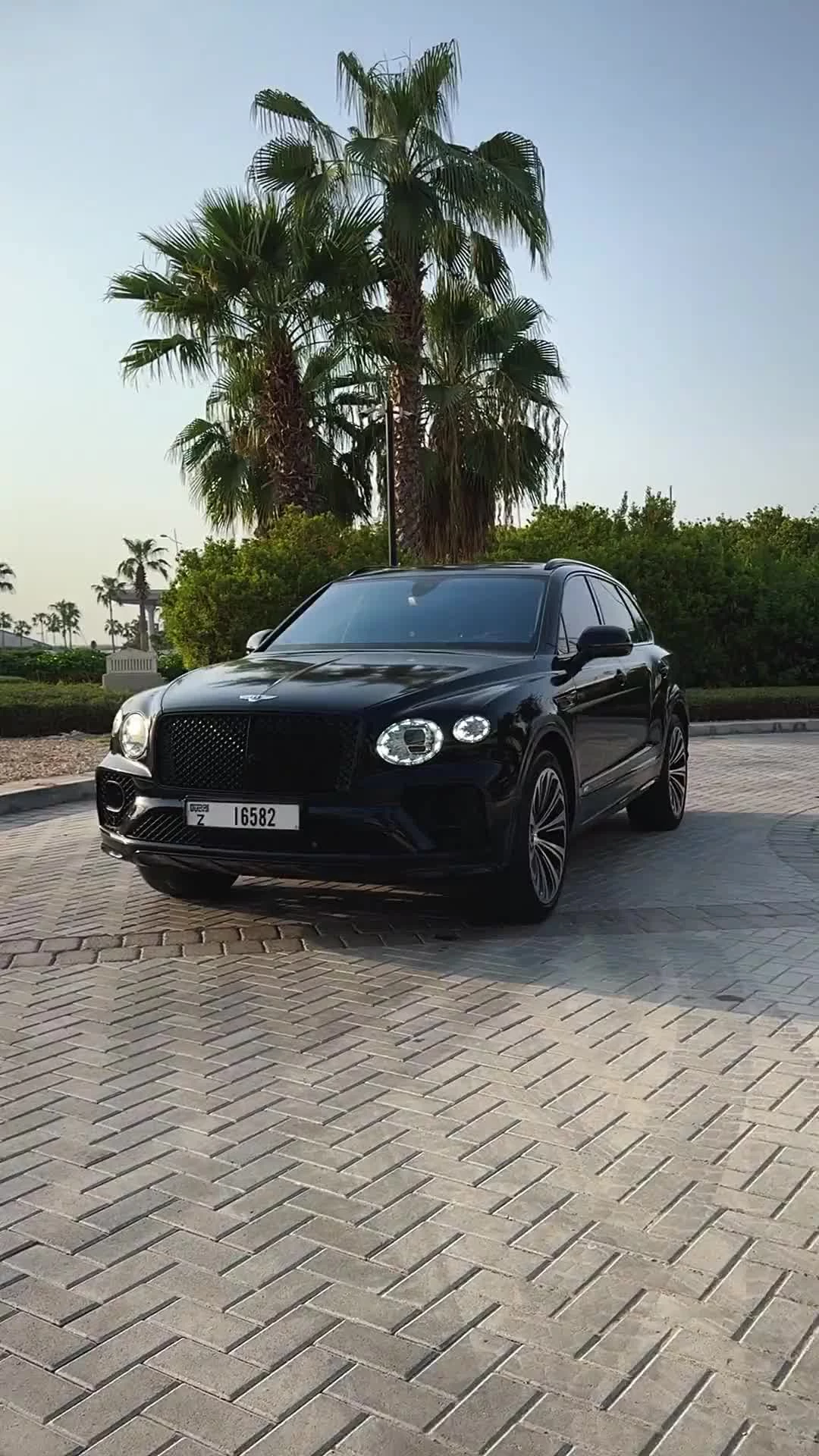 video-preview
