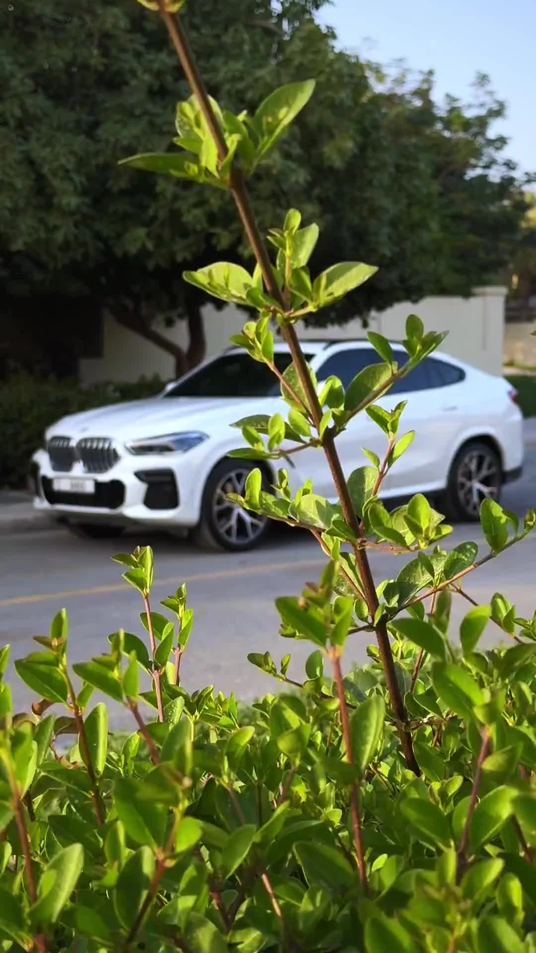 video-preview